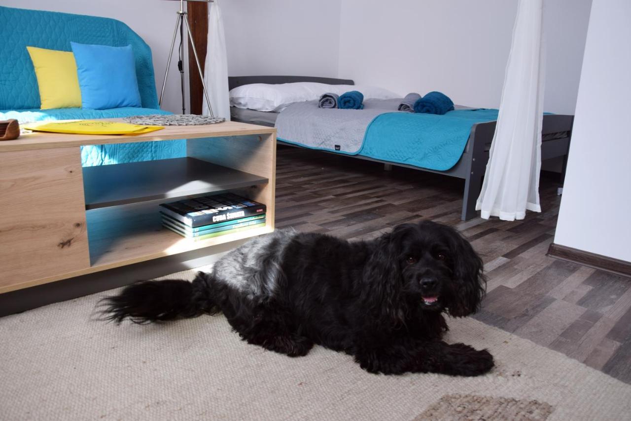 Apartament Gornicza W Kowarach Kowary Exteriér fotografie